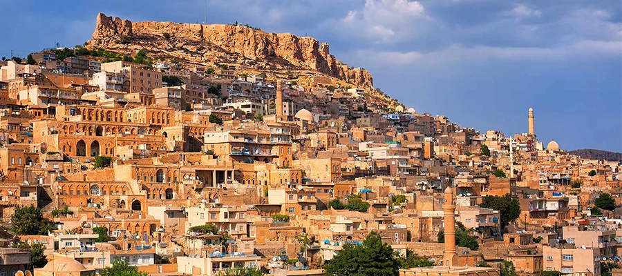 ماردین