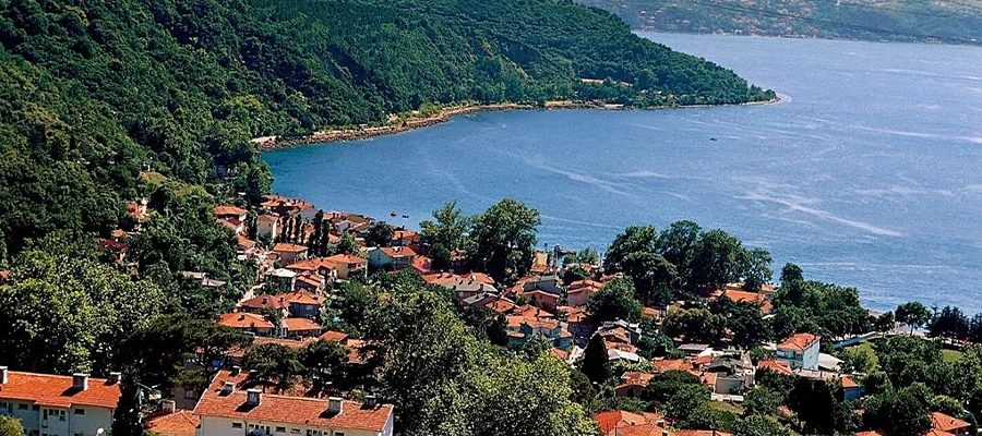 بیکوز