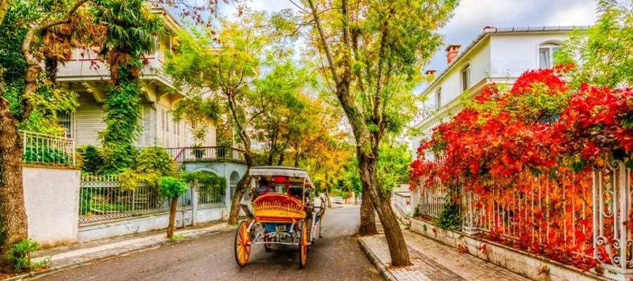 جزایر پرنس
