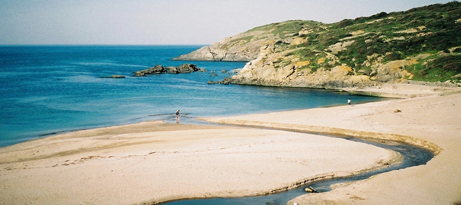 کیلیوس