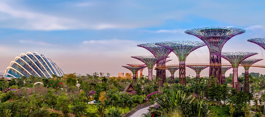 گاردنز بای د بی