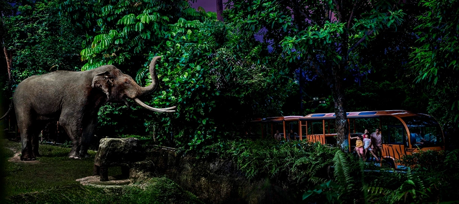 باغ وحش و سافاری شبانه سنگاپور